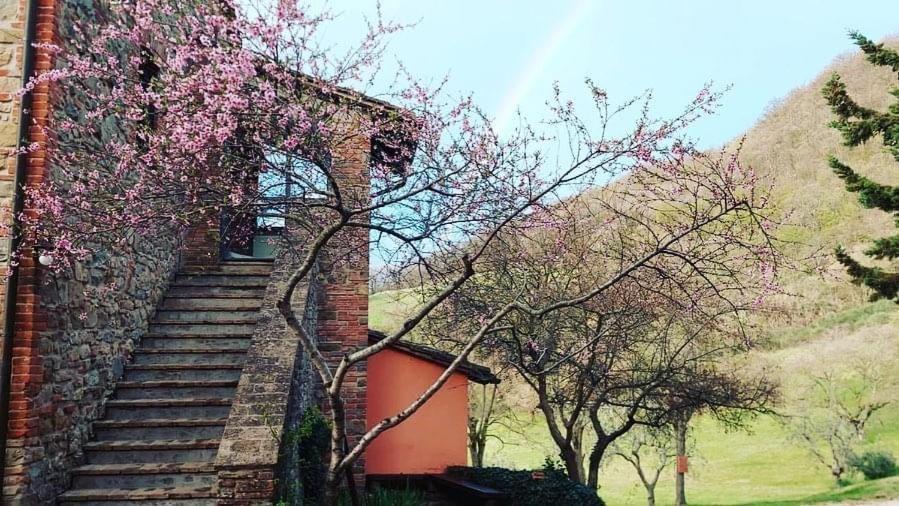 אסיסי Agriturismo Paradiso41 מראה חיצוני תמונה