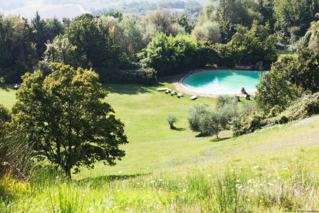 אסיסי Agriturismo Paradiso41 מראה חיצוני תמונה