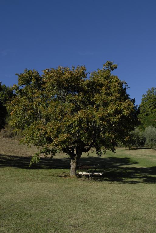 אסיסי Agriturismo Paradiso41 מראה חיצוני תמונה