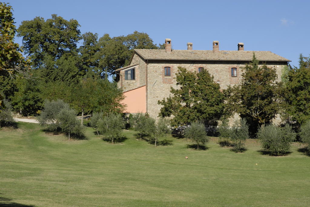 אסיסי Agriturismo Paradiso41 מראה חיצוני תמונה