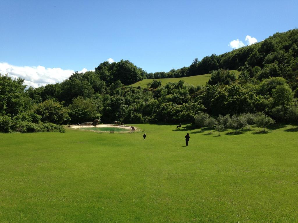 אסיסי Agriturismo Paradiso41 מראה חיצוני תמונה