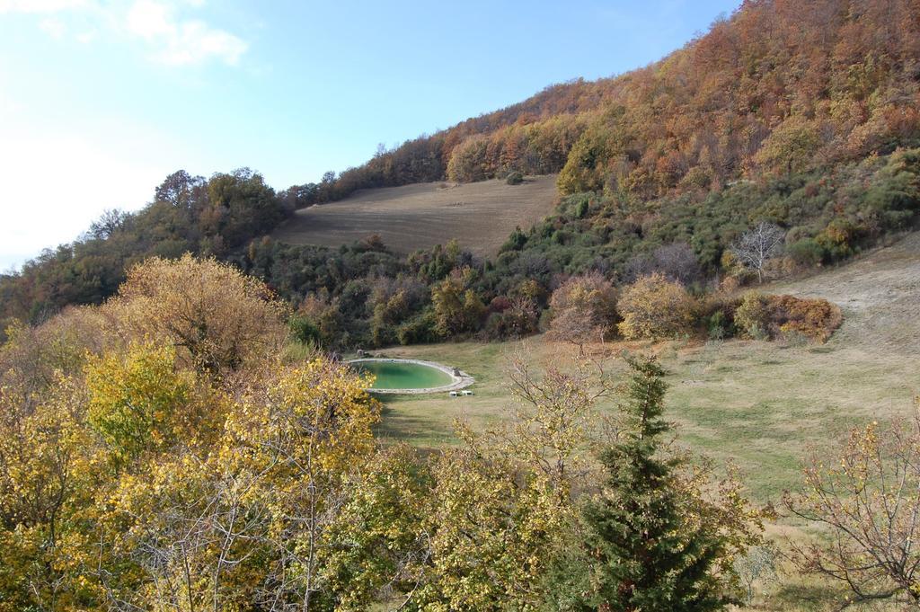 אסיסי Agriturismo Paradiso41 מראה חיצוני תמונה
