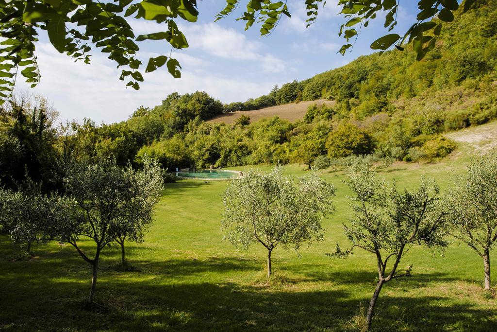 אסיסי Agriturismo Paradiso41 מראה חיצוני תמונה